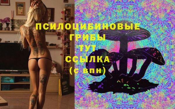 эйфоретик Белоозёрский