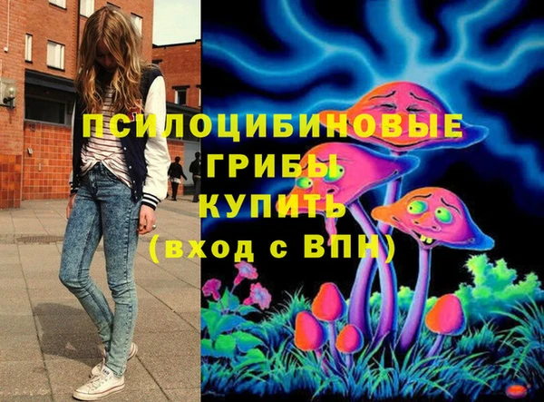 ALPHA PVP Белокуриха