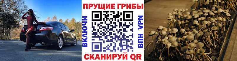 Галлюциногенные грибы MAGIC MUSHROOMS  Нязепетровск 